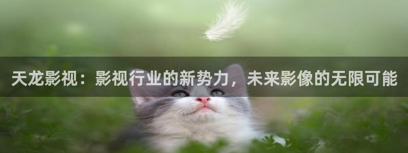 九七電影網在線觀看：天龍影視：影視行業的新勢力，未來影像的無限可能