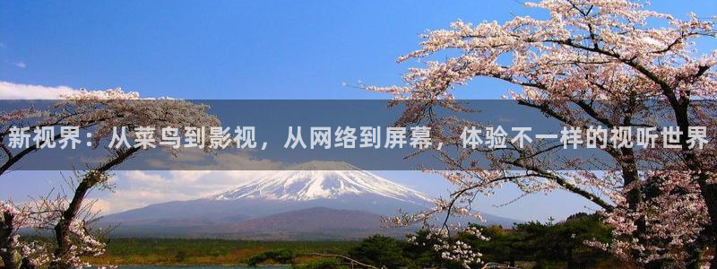 九七影院倫理：新視界：從菜鳥到影視，從網絡到屏幕，體驗不一樣的視聽世界
